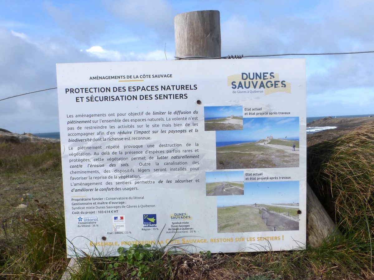 Côte Sauvage de Quiberon