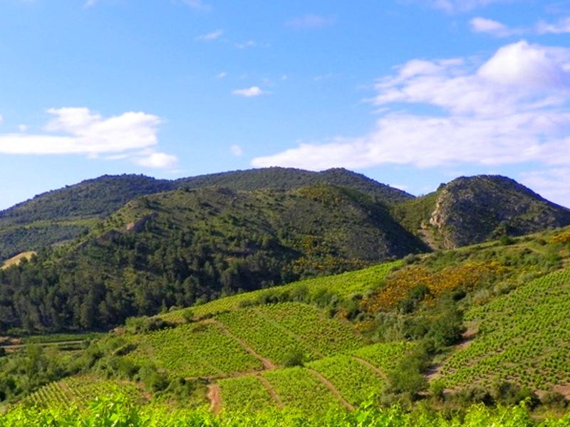 GR367 - Sentier Cathares