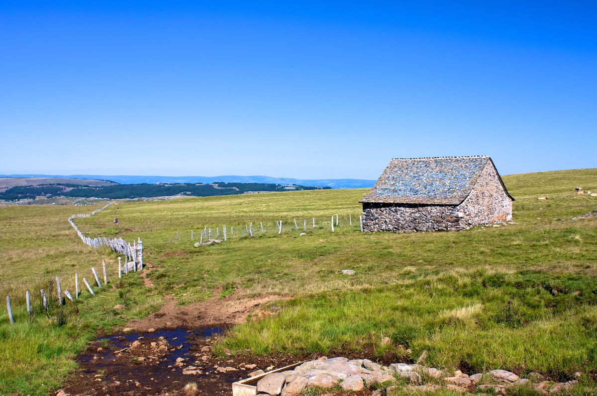 Plateau de l'Aubrac, paysages de pâturages