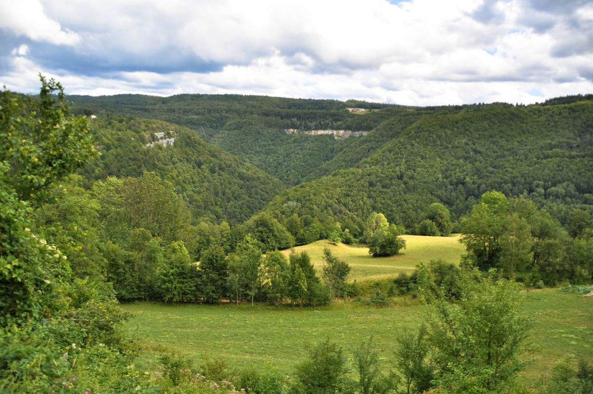 Paysage typique du Jura : prairies et forêts d'épicéas