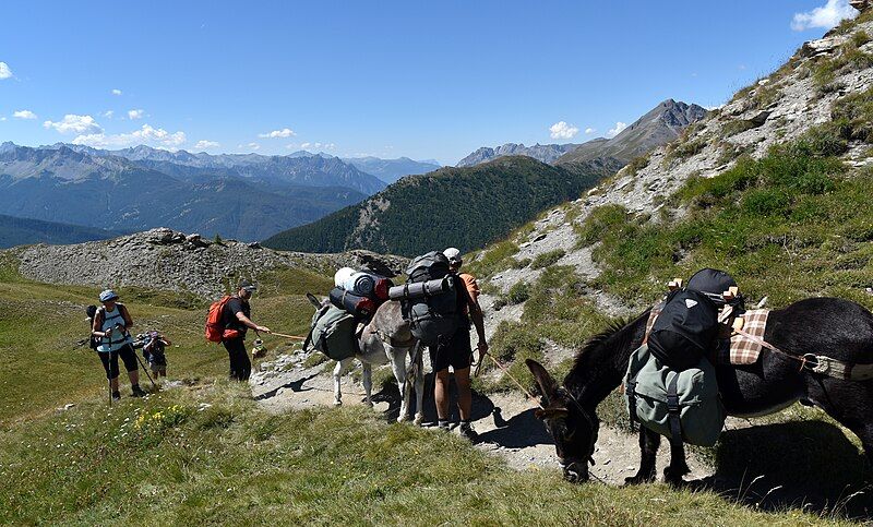 Sentier de randonnée vers les lacs du Malrif, Aiguilles, Queyras